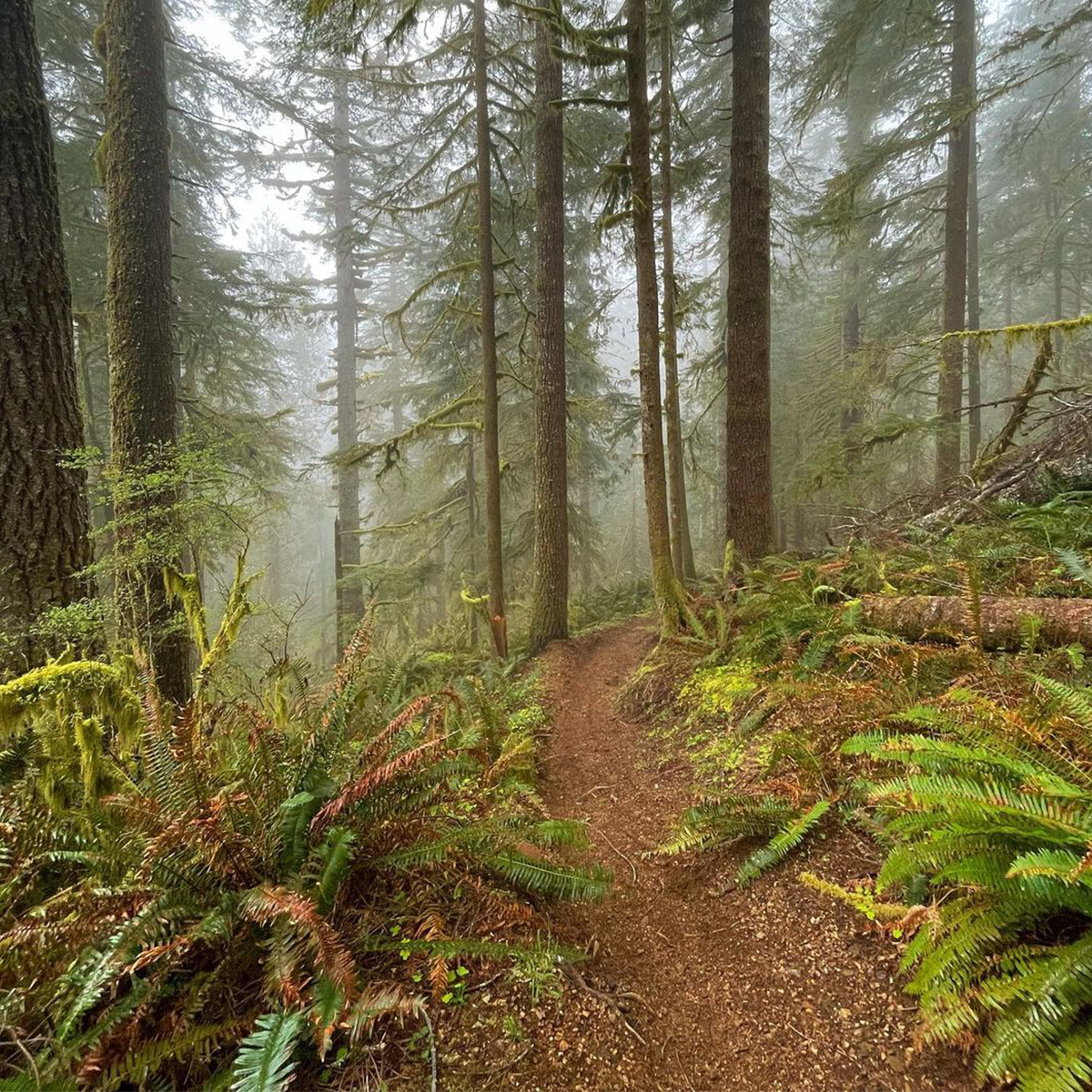 Singletrack Ahead